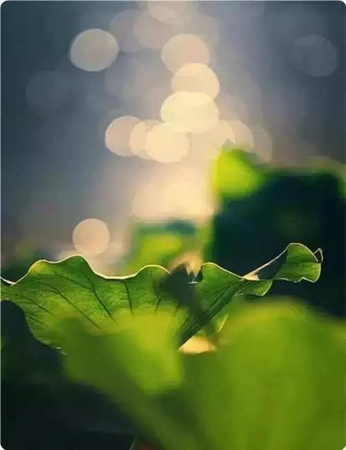 为什么定的目标总是失败,如何确定自己前进的目标