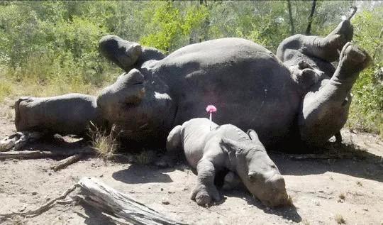 只为一串佛珠,他活剥了我妈的皮:人心有多可怕,你根本想象不到