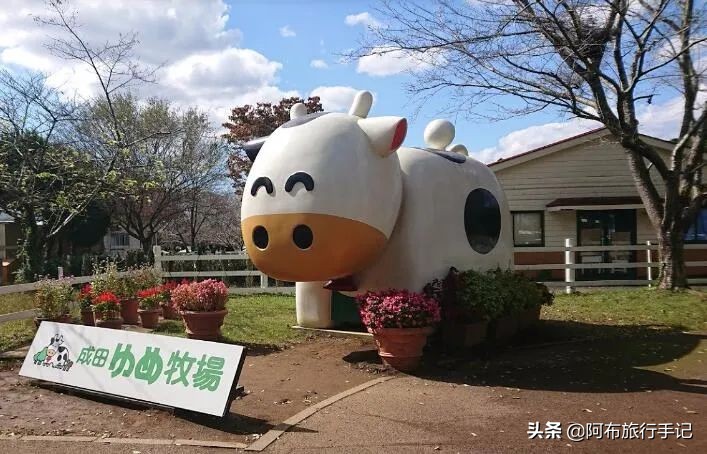 成田机场对比羽田机场,成田机场和羽田机场有什么不一样