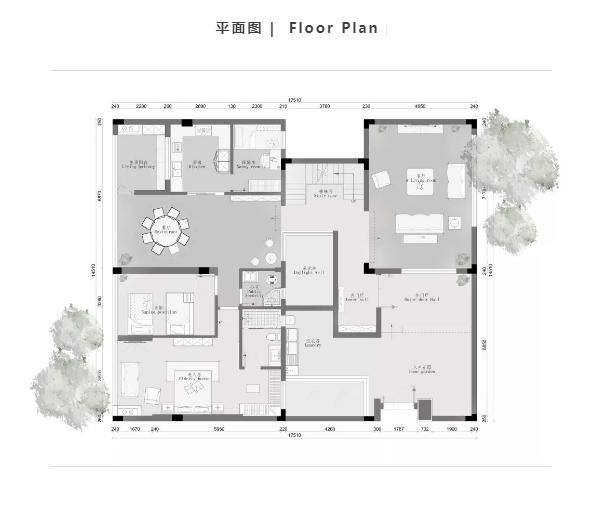 多彩郁金香七绝,多彩郁金香花海太美了