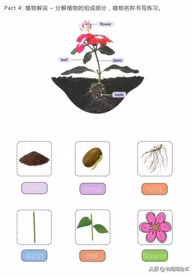 英文绘本好处,英文绘本书怎么做