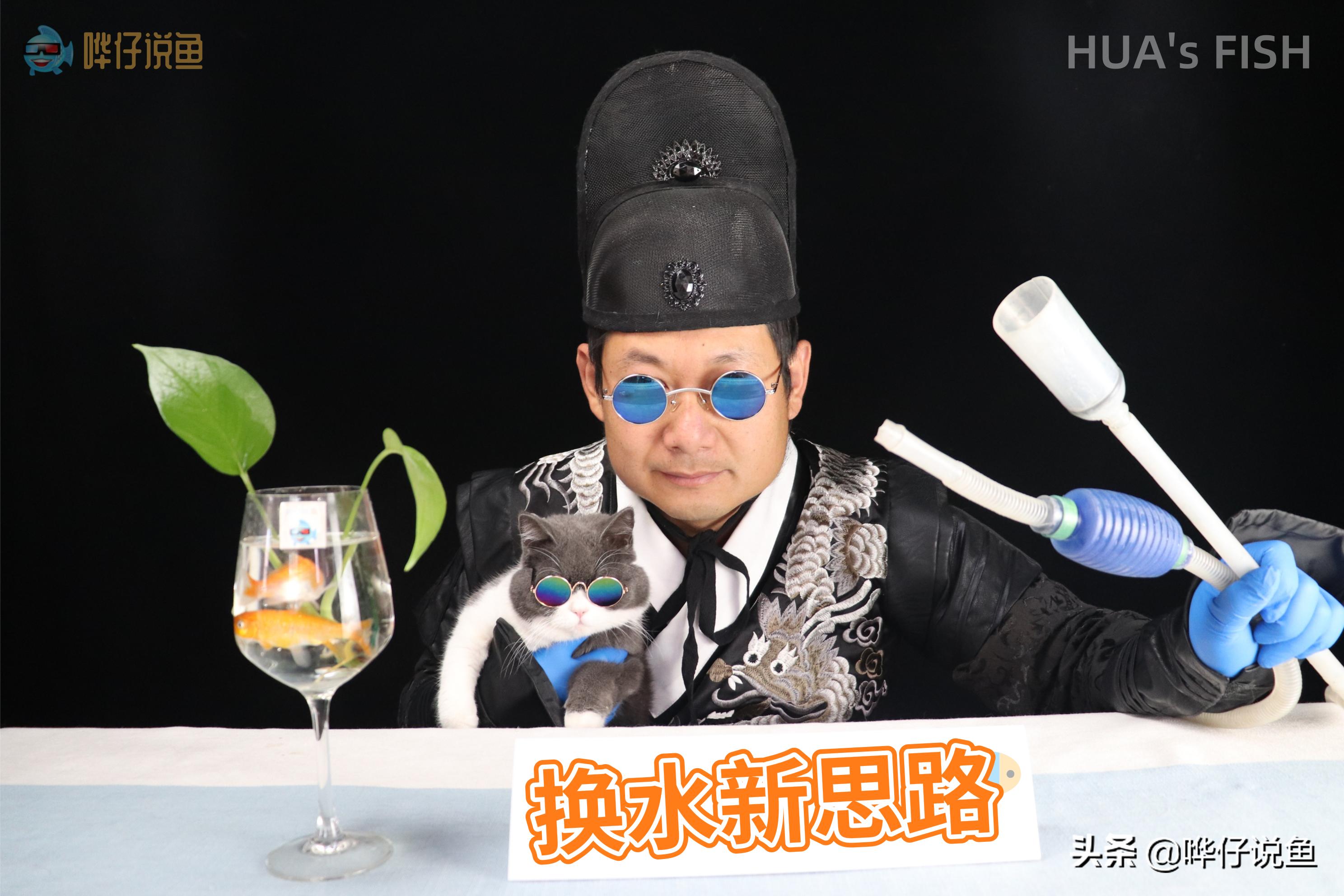 给鱼缸里的鱼换水正确步骤,热带观赏鱼鱼缸换水正确方法