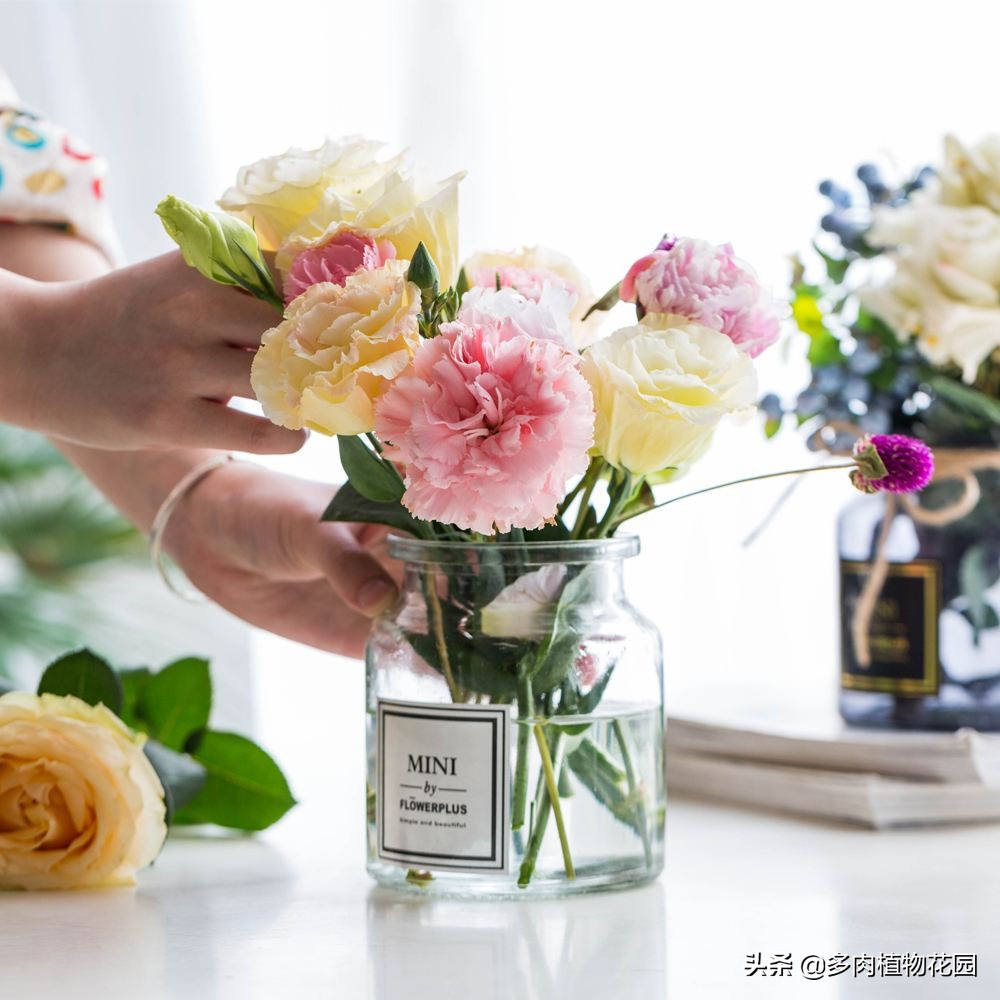 瓶式插花的注意事项,插花10分钟搞定几款气质的插花