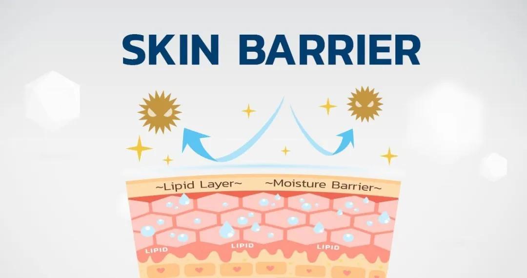 皮肤屏障受损怎么修复最简单有效,可预修复皮肤屏障受损的医用产品