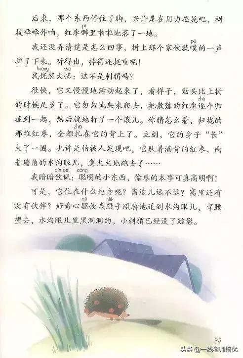 三年级语文带刺的朋友课堂笔记,带刺的朋友三年级上册