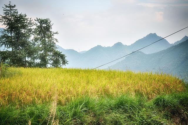 韶关丹霞梯田图片,韶关旅游梯田攻略图片