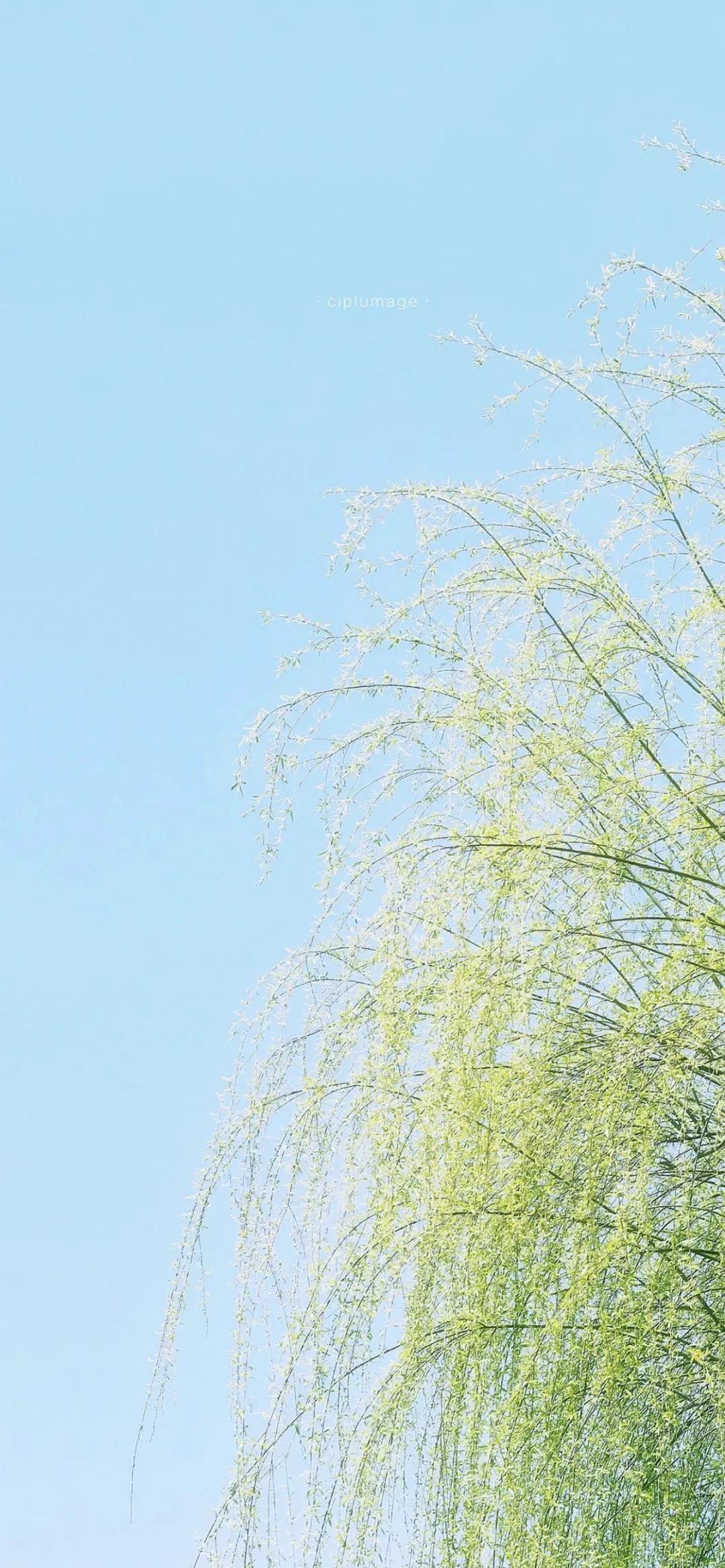 精选壁纸高清无水印风景,精选高清全面屏壁纸