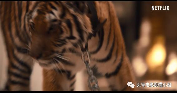 9.8分以上破案的电视剧,9.5分以上破案电视剧