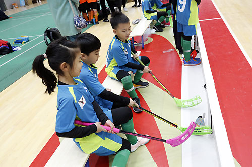 全国软式曲棍球锦标赛,青少年软式曲棍球锦标赛