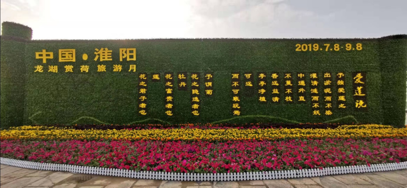 淮阳龙湖赏荷旅游视频,中国淮阳龙湖赏荷旅游月活动启动