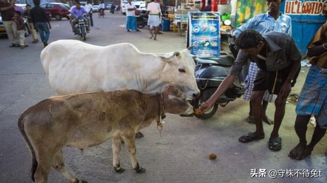 10个关于人类身体的冷知识,十个冷知识人类