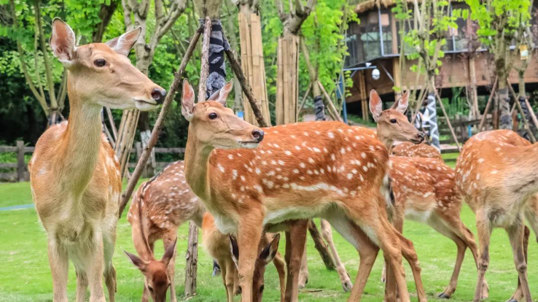 适合所有人旅行的5个宝藏目的地,游玩新体验每周必去的宝藏好地