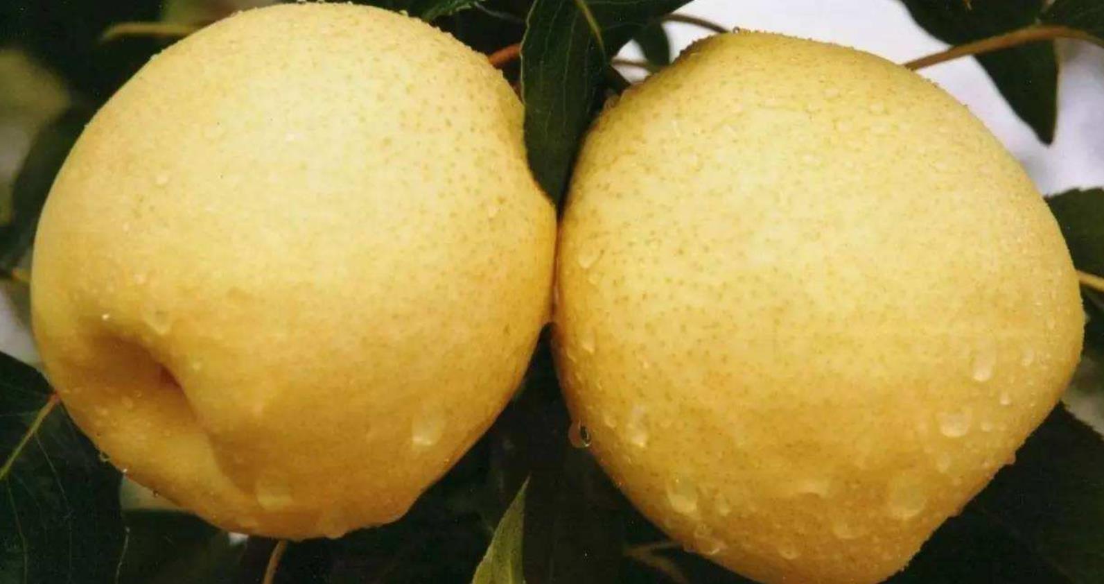 4月份比较亲民的水果,6月份比较便宜的水果