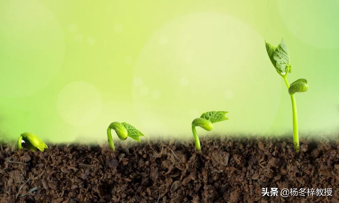 胚胎反复着床失败跟子宫内膜容受性有关系吗？