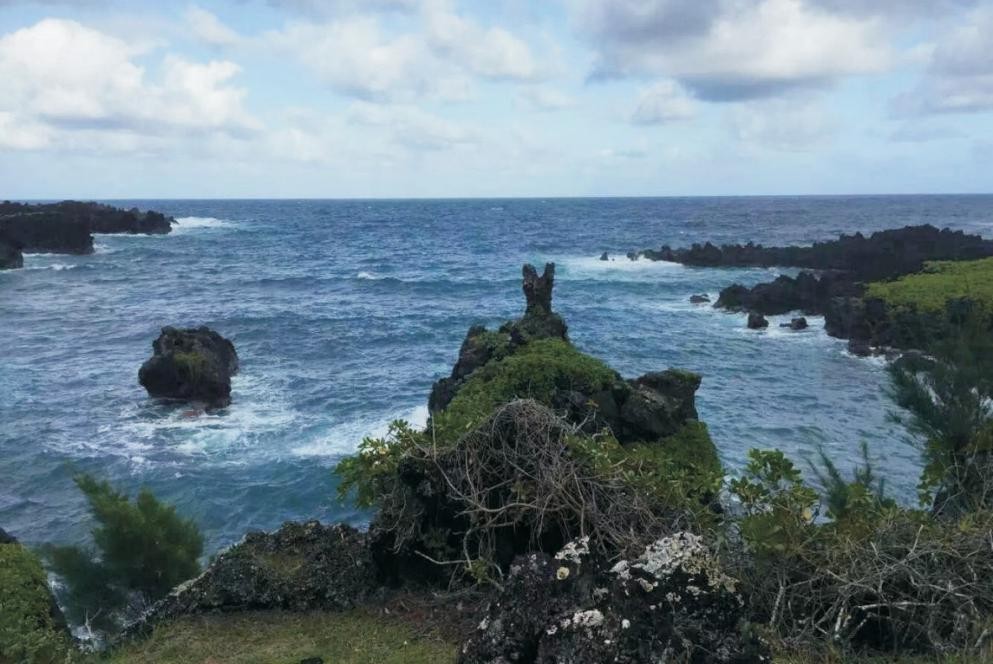 夏威夷的冬天简谱,夏威夷的冬天