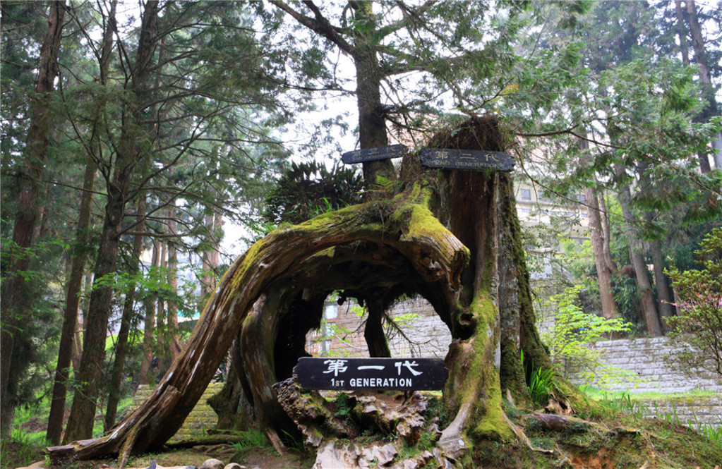 台湾环岛7日自驾游攻略,台湾环岛游记大全