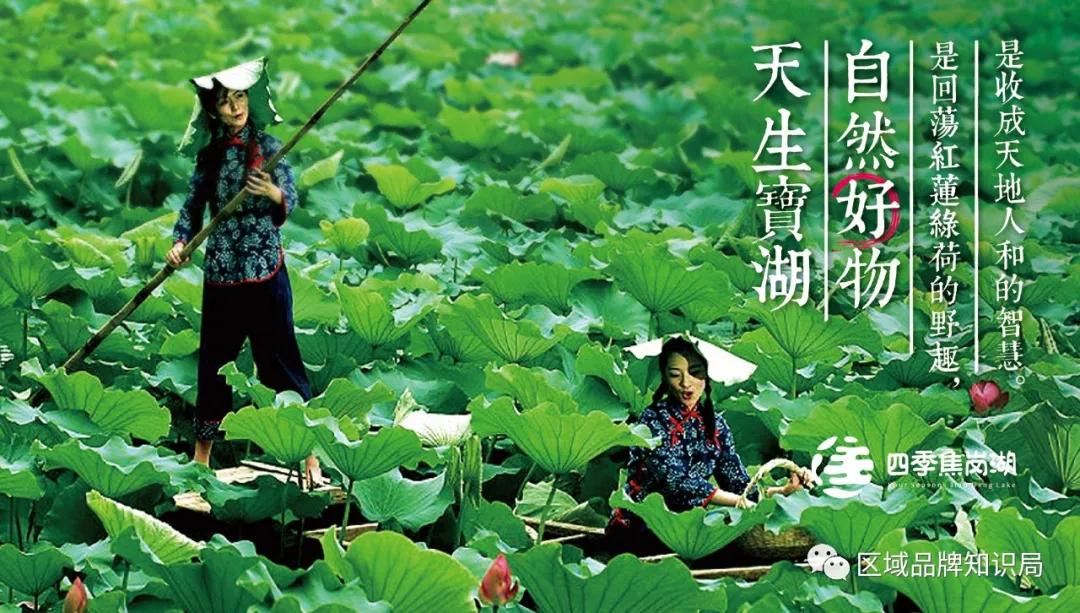 焦岗湖区生态发展共同体——区域公共品牌