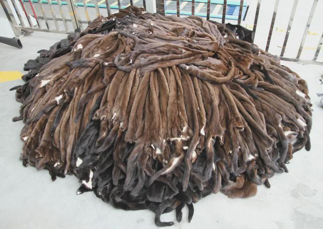 中国皮草行业现状,皮草跌落神坛