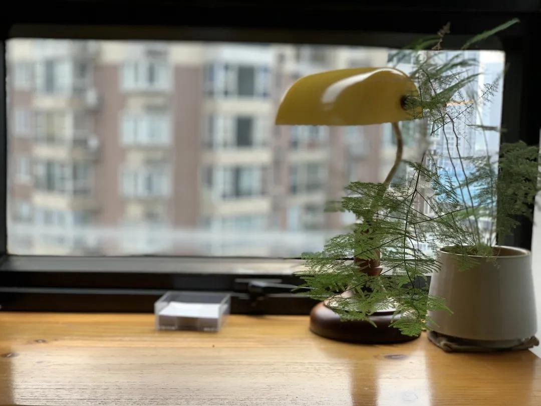 用阅读触摸成都|在成都不能错过的10家书店(下)