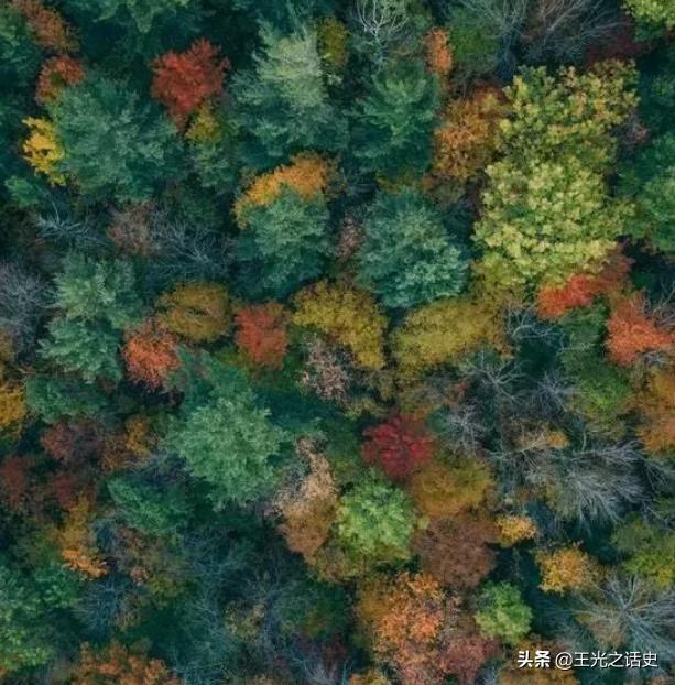 印尼和东帝汶现状,印尼为什么会让东帝汶独立