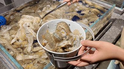爽到爆的美食,爽到爆吃海鲜