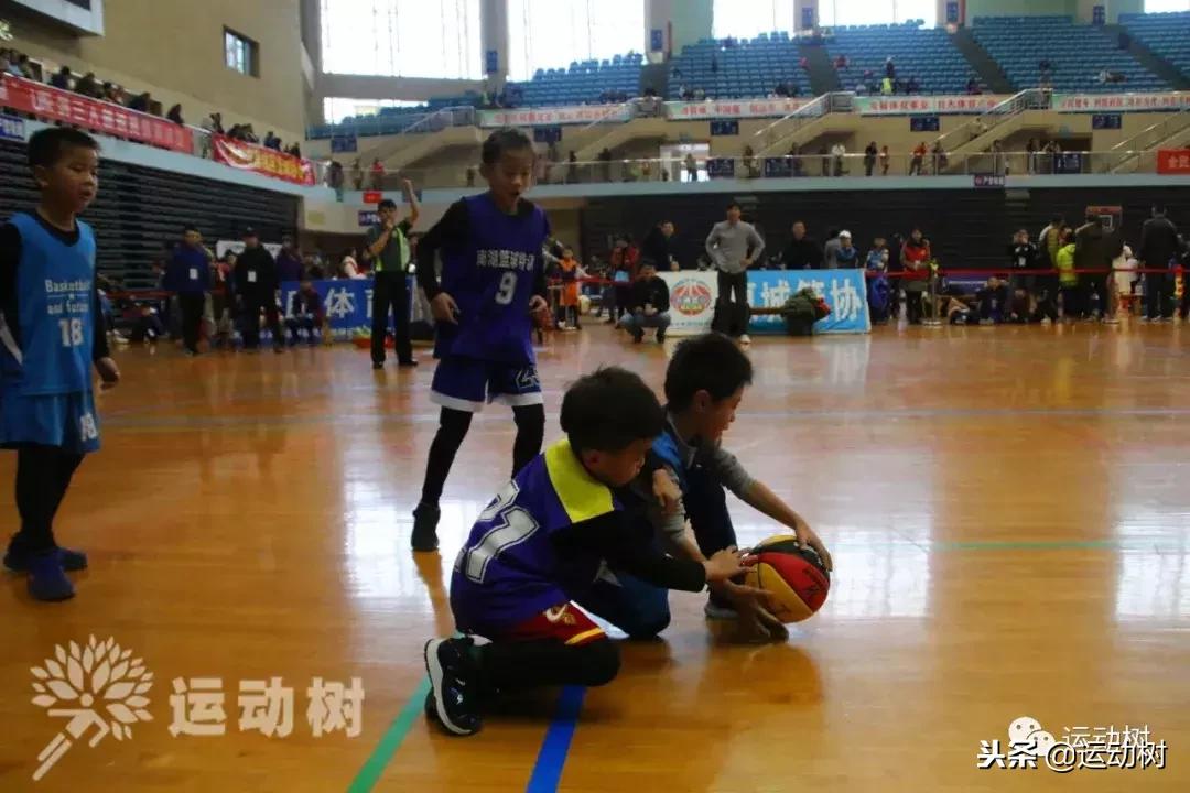 中国篮球名宿走进学校,中国篮球名宿26分