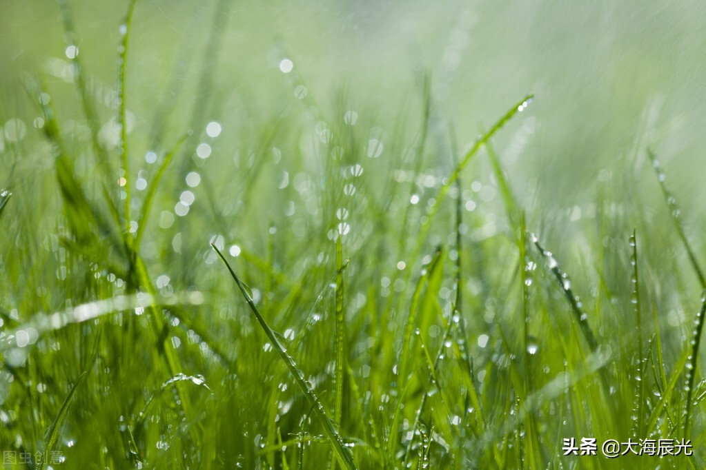 深秋天寒，时光可暖