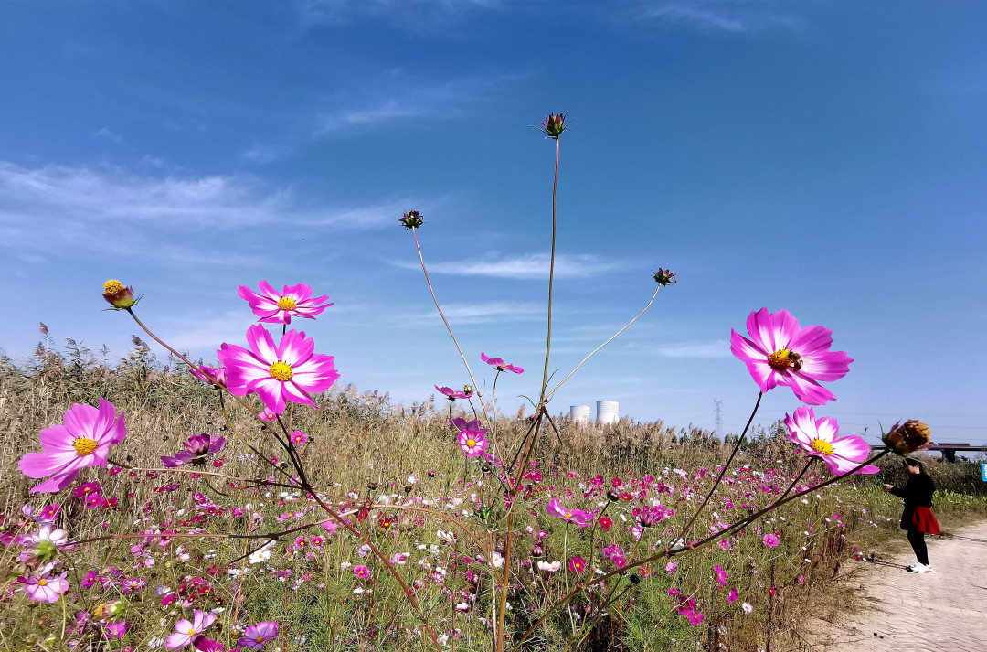 荆山旅游景点大全,荆山美景