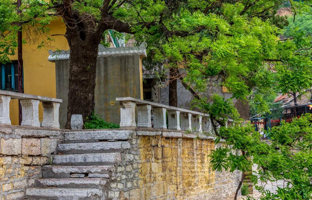 挡不住的惬意！来博山这个私藏胜地，带你过向往的生活