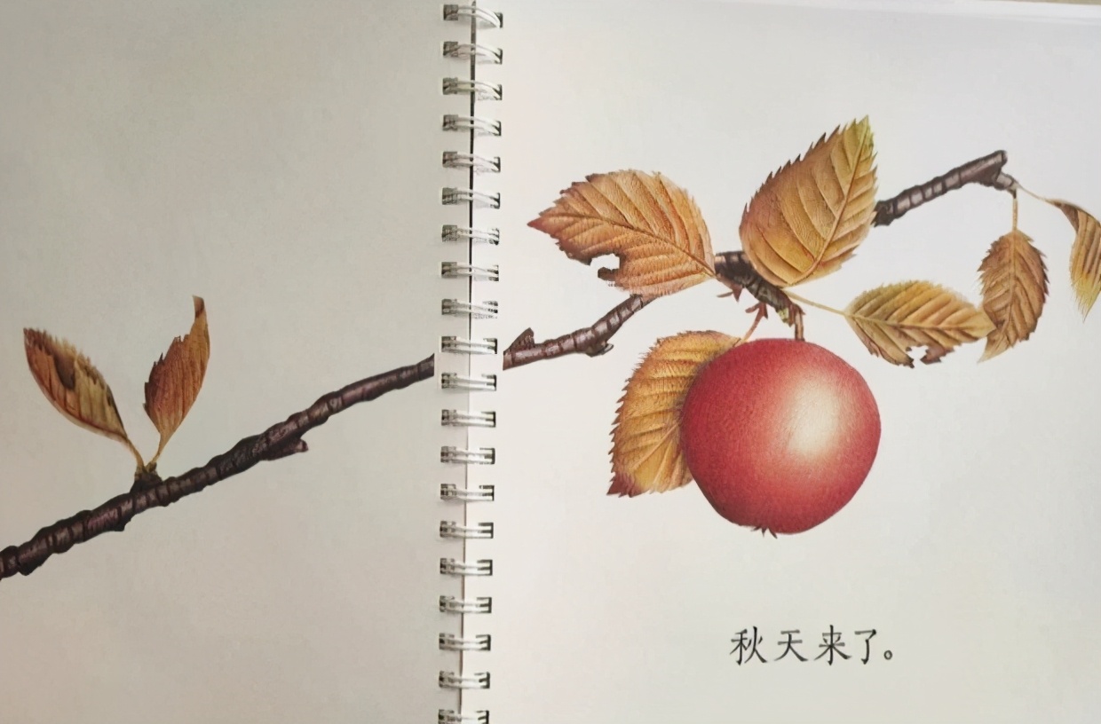 给孩子谈生死的绘本,生命教育怎么教100本绘本告诉你