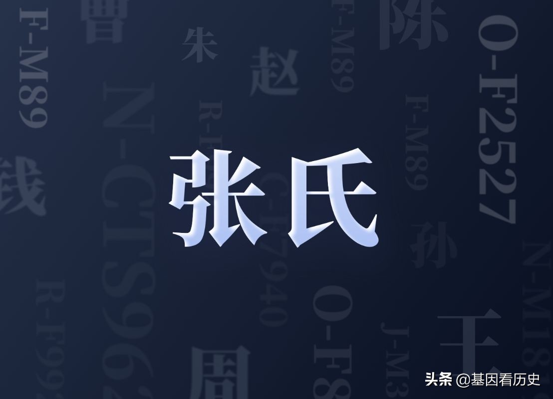 姓氏起源分支表完整图张姓,中华姓氏分支对照表