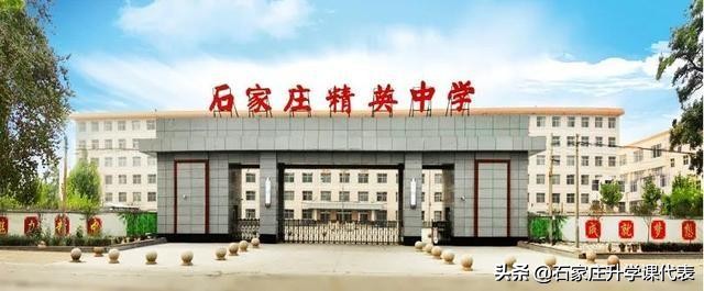 精英中学喜报2020,精英未来初中部升学率