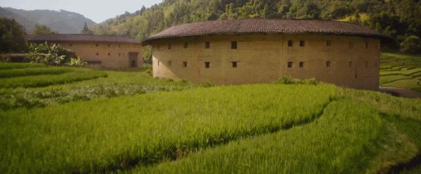 被烧之前的云南翁丁原始部落,我国最古老的村庄被烧毁