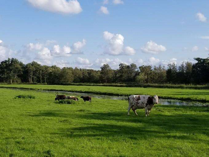 荷兰是世界强国吗,荷兰最难入侵吗