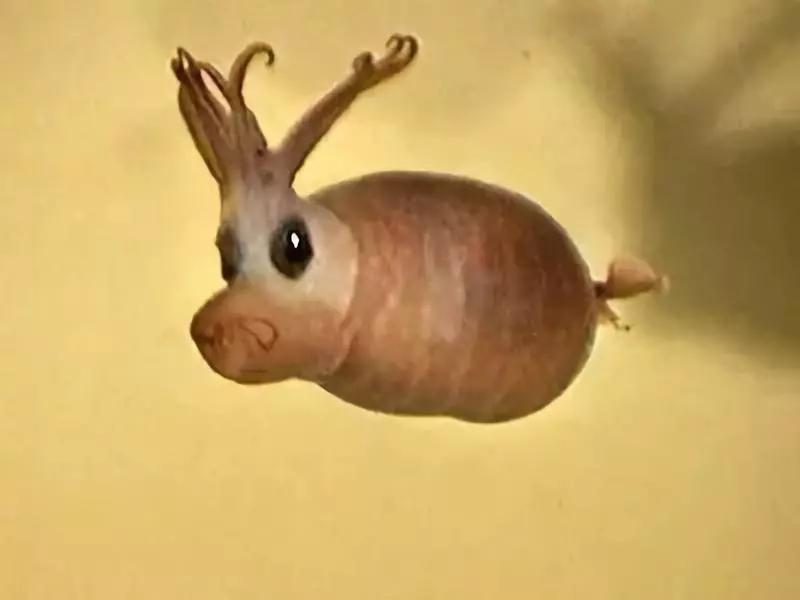 神秘的顶级海底照片难得一见,罕见海底美人照片