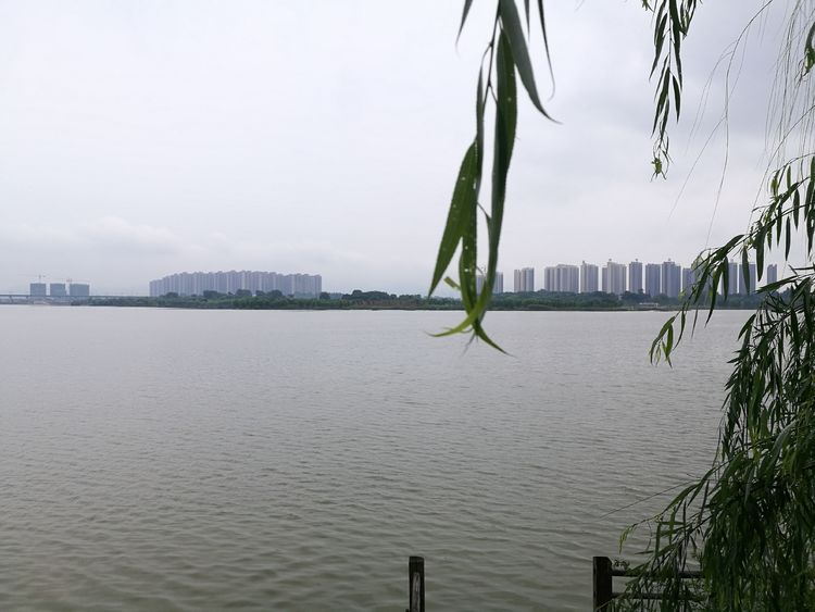 环湖，让我穿行在大冶的历史与当今之间——大冶尹家湖徒步纪事