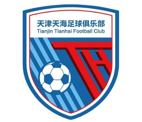 海牙总经理：合力万盛参与收购天海有助中荷足球交流