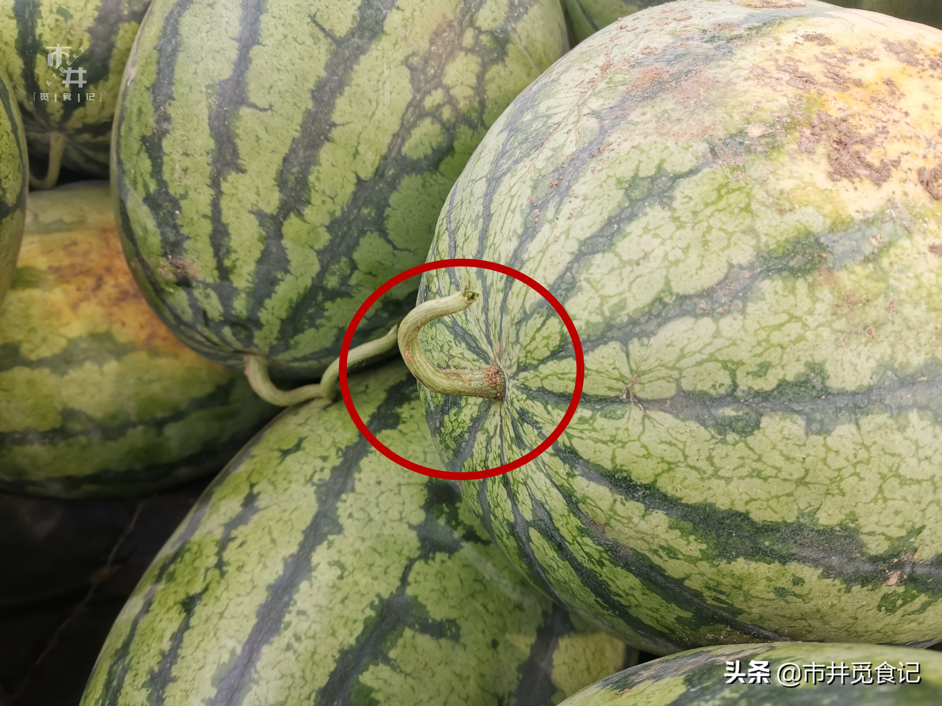 买西瓜要注意不要买到水,买西瓜皮薄怎么办