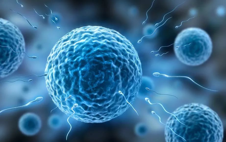 长效避孕药吃了一片有危害吗,一天一片的避孕药有什么危害