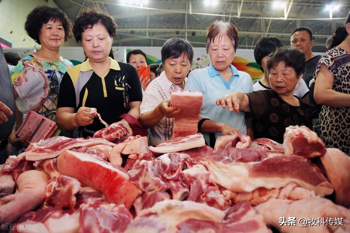 鱼价行情今日猪价,鱼价节节攀升