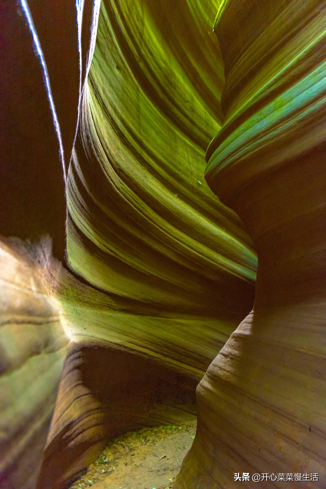 陕北黄土高坡旅游一日游,黄土高原陕北旅游