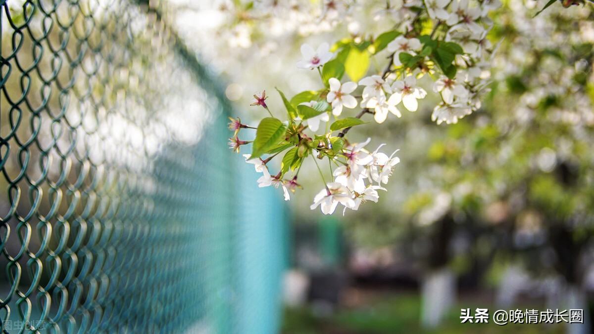 别把感情利用到极致,别把人情说短了