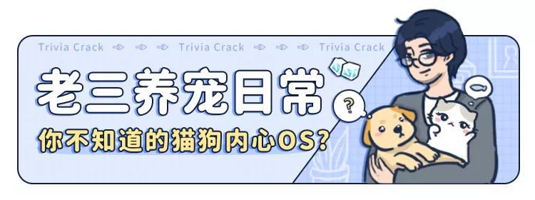 狗吃了柚子会怎样,狗吃柚子吐了