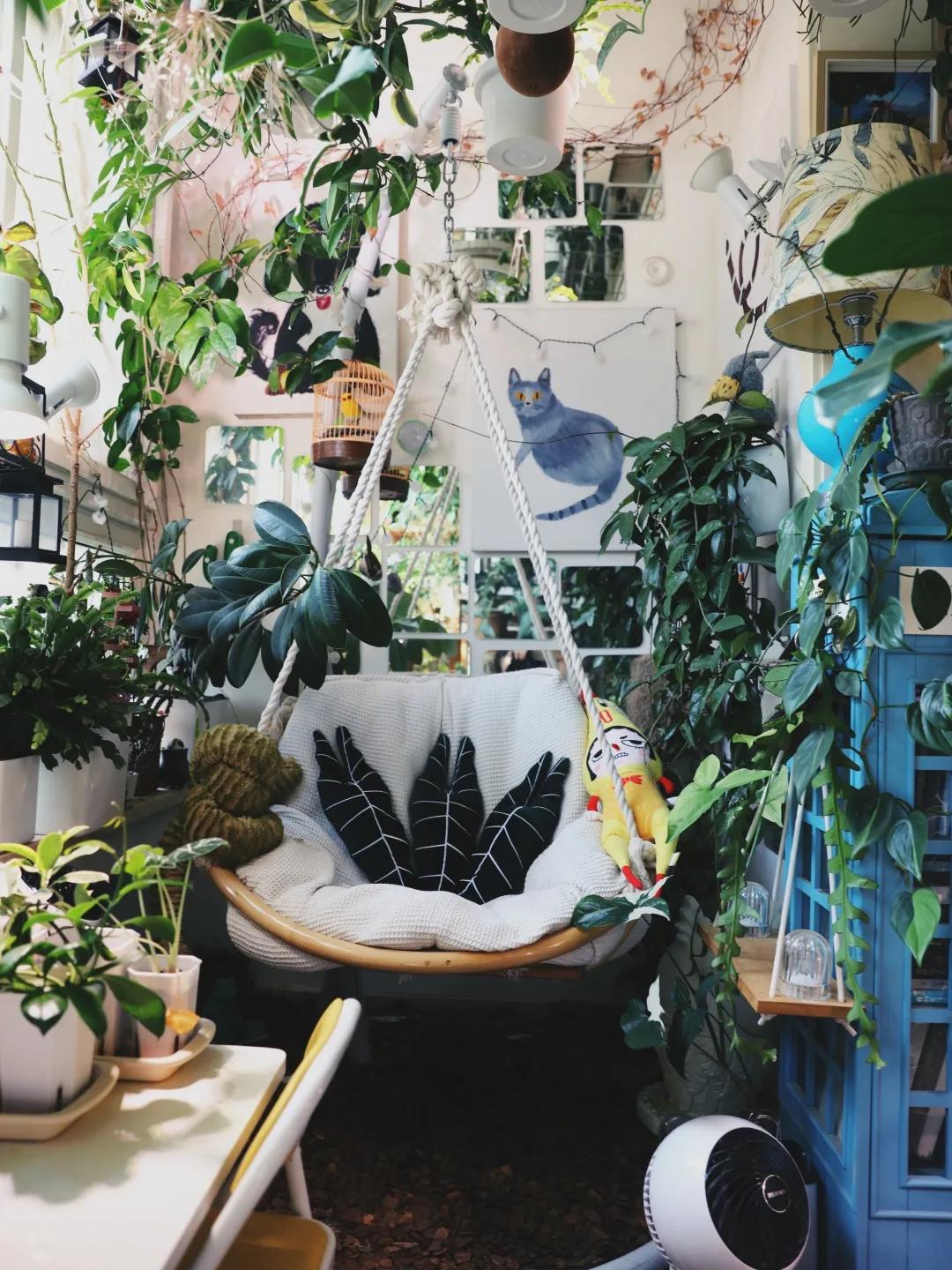 没花园怎么种花？从东北到广东，4位大神在室内种出植物园，绝美