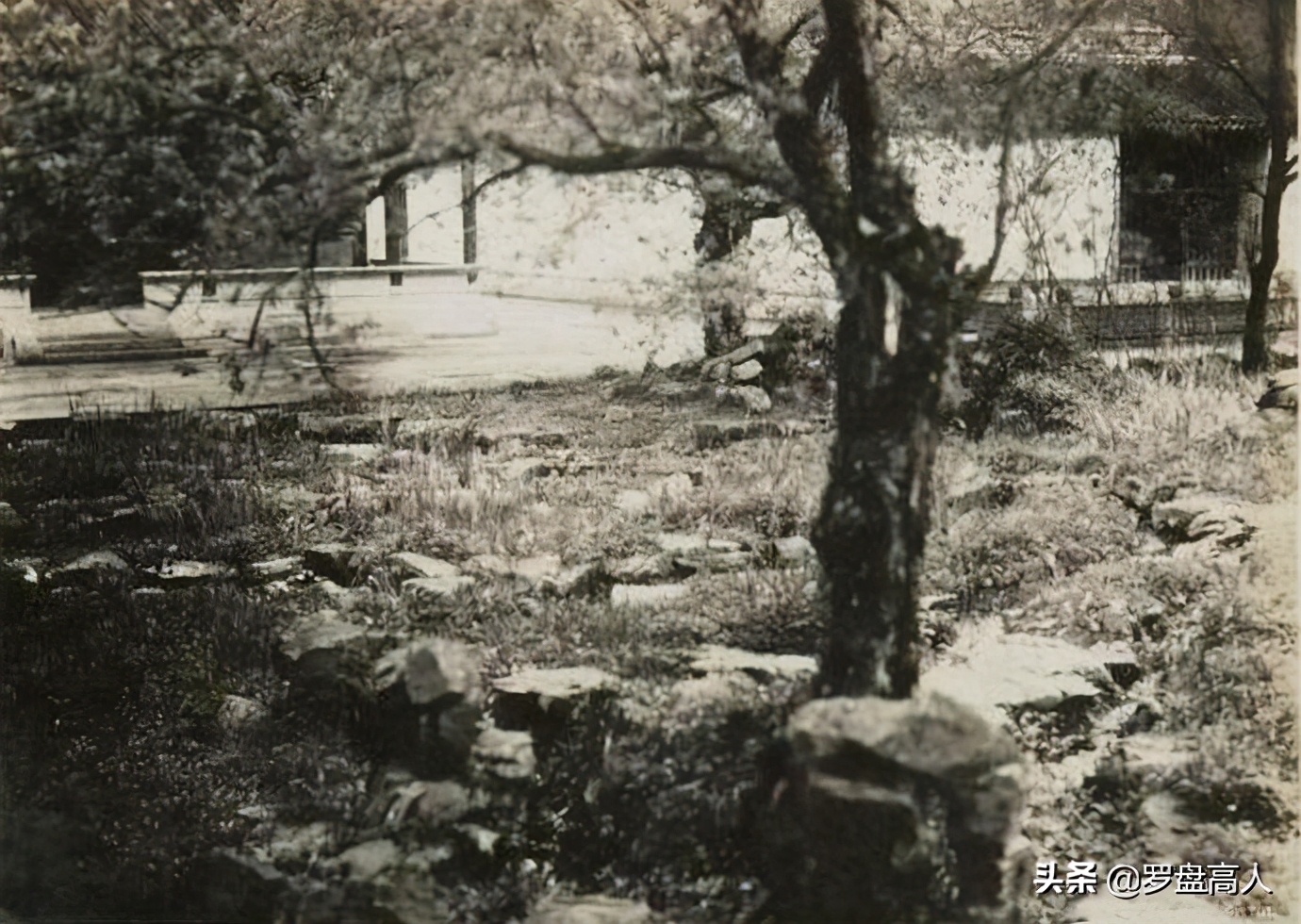 绍兴酒乡历史,绍兴酒景