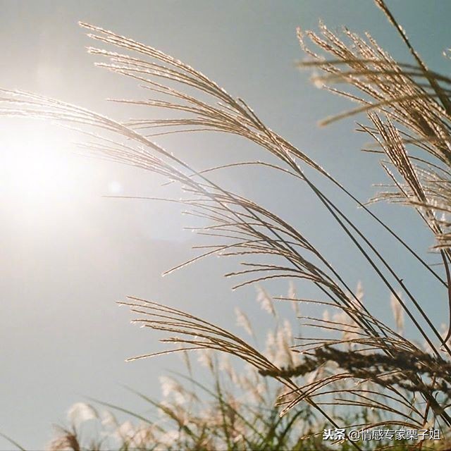 栗子姐情感专家咨询热线,情感咨询栗子每日问答