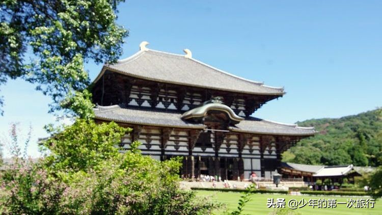 日本奈良东大寺大佛,日本奈良世界文化遗产历史背景