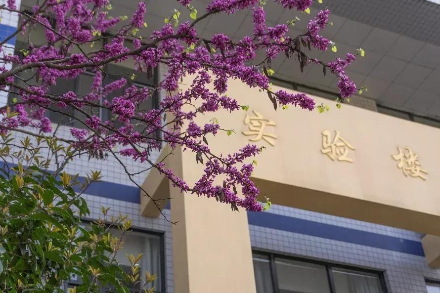 安徽合肥大学二本院校,安徽二本高校