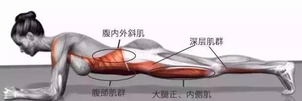 做平板支撑要坚持几分钟,平板支撑小学生坚持几分钟最好