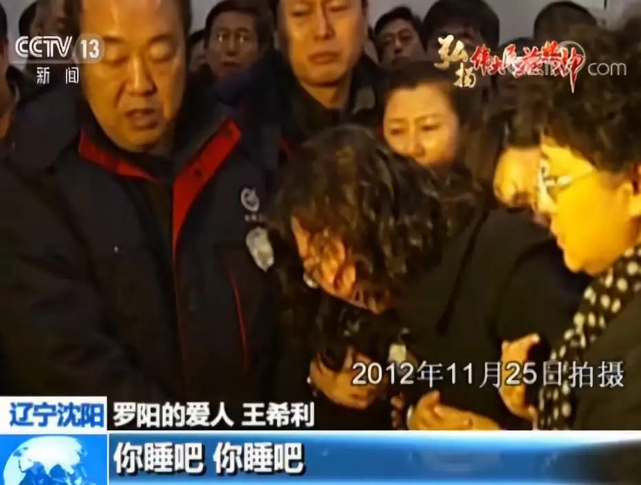 歼15舰载机罗阳,歼15舰载战斗机罗阳